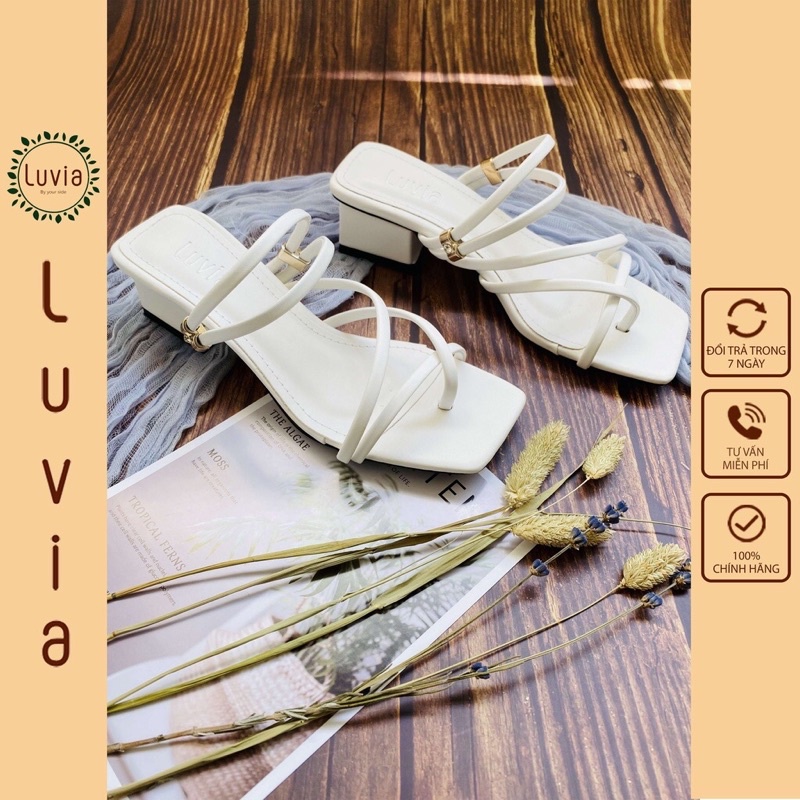 Gót đế thấp xỏ ngón có big size 35-45