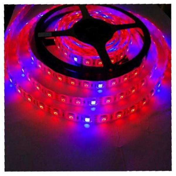 Dải đèn LED tăng trưởng thực vật 12V dài 5m tiện dụng