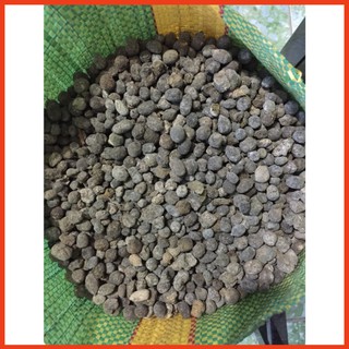 Phân dê cho hoa lan đã xử lý túi 10cm