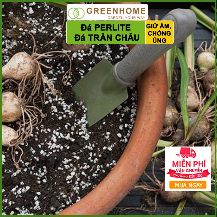 Đá Perlite, bao 2kg, đá trân châu trồng hồng, sen đá, thuỷ canh giàu khoáng chất, tăng độ tơi xốp trong đất |Greenhome