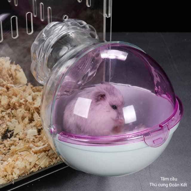 Tắm cầu gắn lồng cho hamster - Nhà gắn lồng hình cầu