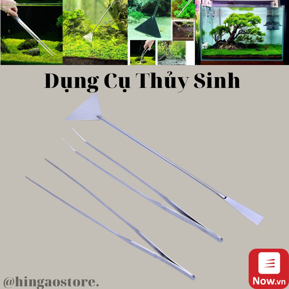 Nhíp Cong, Nhíp Thẳng, Cây Cạo Rêu - Phụ Kiện Thủy Sinh | Hingaostore.