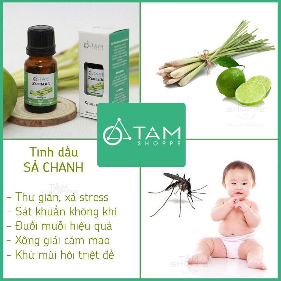 [TD ORGANIC] Tinh dầu sả chanh nguyên chất 100% SCENTASTIC chai 10ml