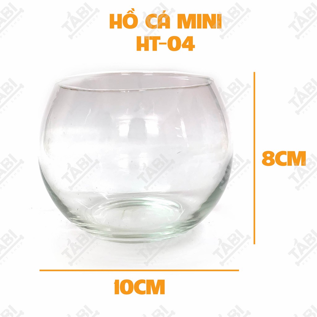 Hồ Cá MINI HT-04 Size 10x8CM - Chậu Thuỷ Tinh Nuôi Cá, Trồng Cây Mini [HT4]
