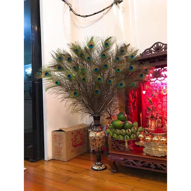 Combo 39c lông công 80cm loại mắt vừa | BigBuy360 - bigbuy360.vn