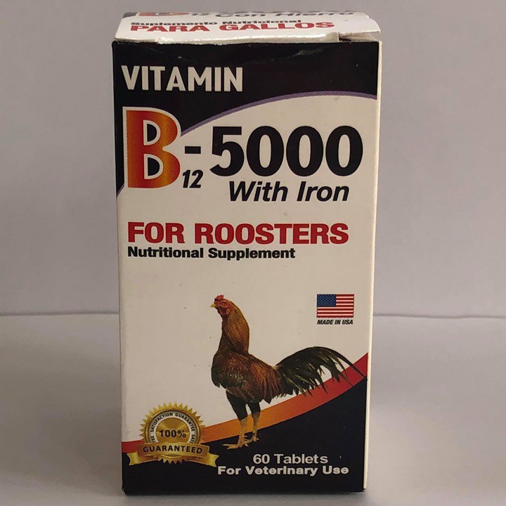 B12 5000 GIUP GÀ LEN NUOC MAU - HỦ 60 VIÊN