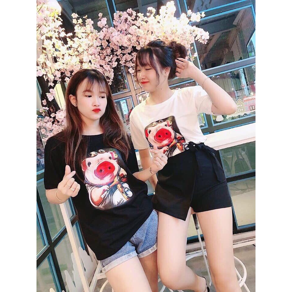 Áo Phông Lợn Kim Sa_Xưởng May Quang Anh