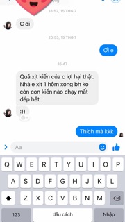 Tinh dầu xịt chống côn trùng