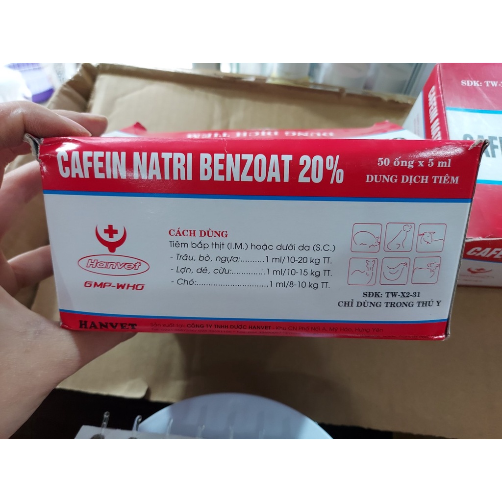 CAFEIN NATRI BENZOAT 20% ống 5ML trợ tim,giải độc cho chó, trâu, bò, lợn, dê, cừu, gia súc vật nuôi