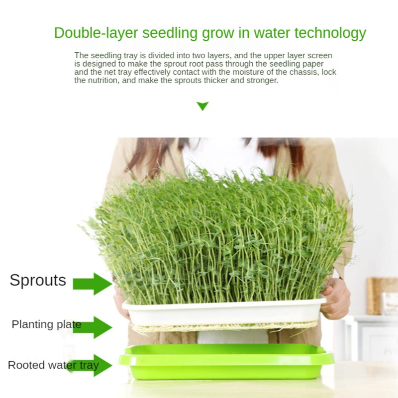 Aoto Khay Gieo Hạt Trồng Cây Thủy Canh 2 Tầng Không Cần Đất
