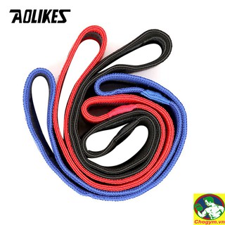 Dây Đàn Hồi Kháng Lực Tập Mông Miniband Aolikes