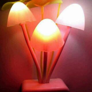 COMBO 70 ĐÈN NGỦ NẤM