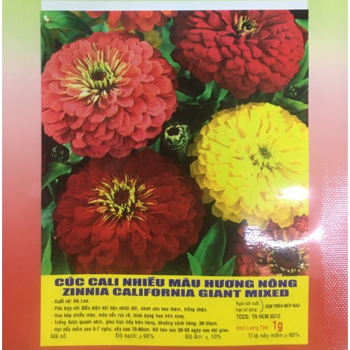 Hạt giống HOA CÚC CALI nhiều màu - Gói 1 gram