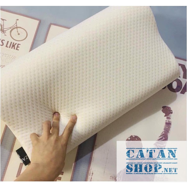 GỐI CAO SU NON ❤️FREE SHIP❤️ Bộ vỏ ruột gối CAO SU NON cho người lớn cao cấp, memory foam chống ngáy mềm mại ZARA HOME