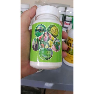 Captan Thái Lan đặc trị bệnh do nấm