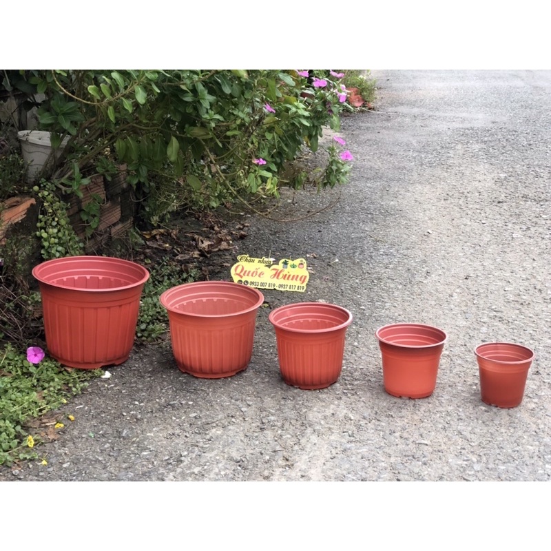 Chậu nhựa Nâu N18 trồng sen đá,xương rồng thương hiệu Quốc Hùng