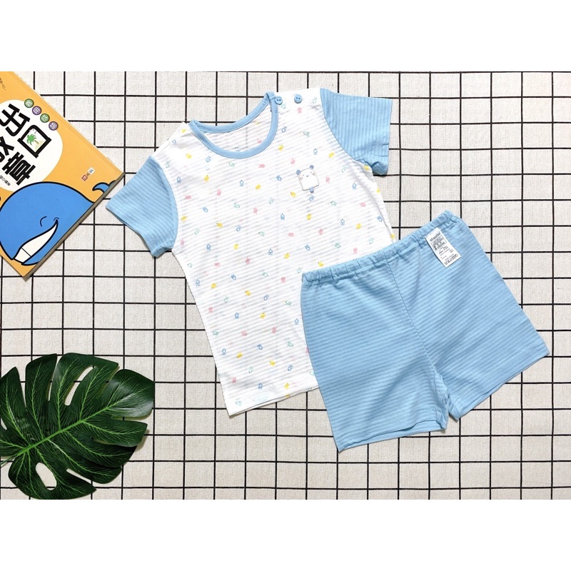 Sz(80,90,100) Bộ thun Cotton giấy Absorba VN xuất hàn