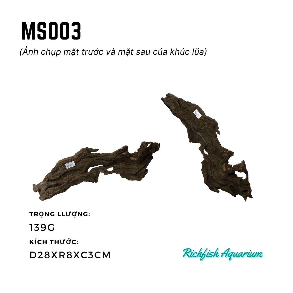 Gỗ lũa dùng setup layout bể cá cảnh thủy sinh nhỏ từ 20-30cm (Ms001-Ms008)
