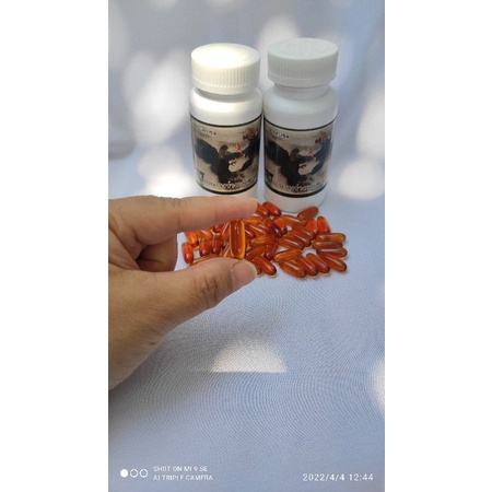 (Kích 3x Sản phẩm kích Lực cho gà trước Đá)  kích 3X cung cấp dinh dưỡng cho gà 7 ngày cuối trước khi đá. lọ 100 viên