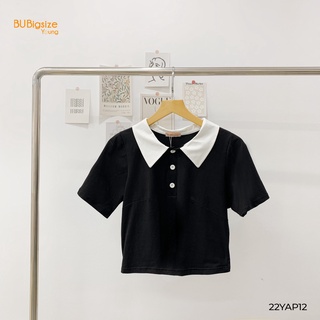 Áo polo dáng ngắn phối cổ trắng bigsize - 22yap12 -