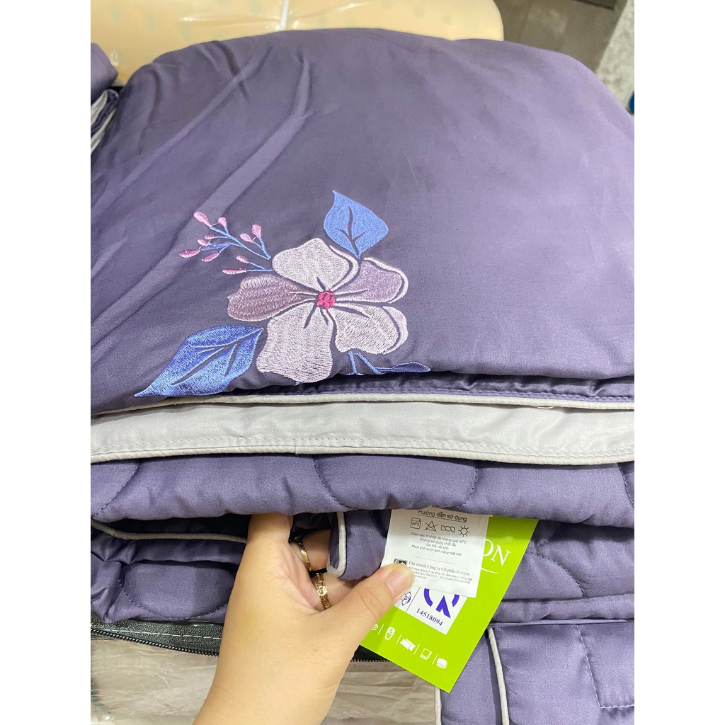 Bộ Drap chun chần EVERON MDSC089