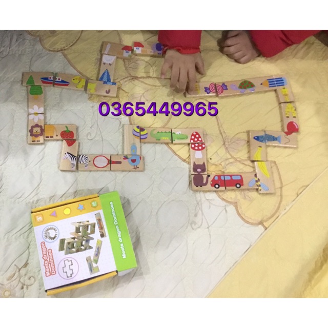 Đồ chơi thông minh Domino