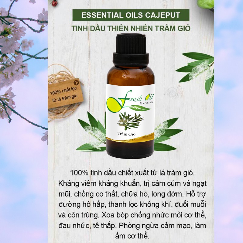 Tinh dầu tràm gió Cajeput 05ml