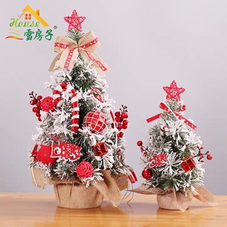[HÀNG MỚI VỀ] CÂY THÔNG MINI SIZE 30CM - Tặng kèm 1 đèn dây mini