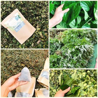 [9 túi lọc] Xông Trầu không- Trà xanh