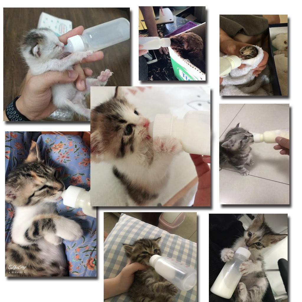 Bình Cho Thú Cưng Ăn Có Núm Ti Bằng Silicone Tiện Dụng