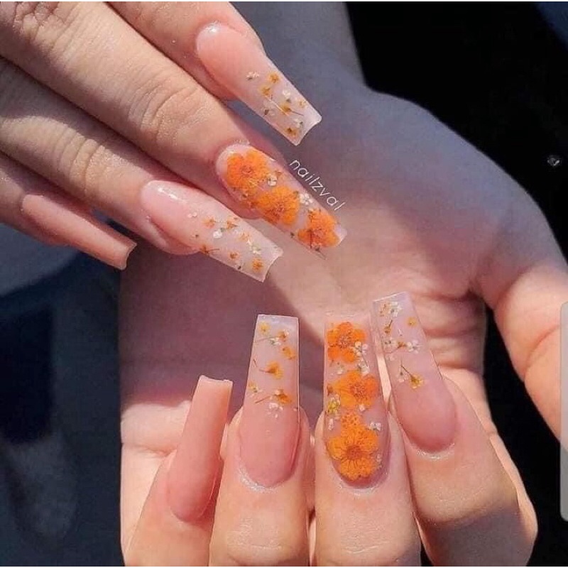 Hoa khô nail 5 cánh ẩn gel - Hoa khô nail trang trí móng