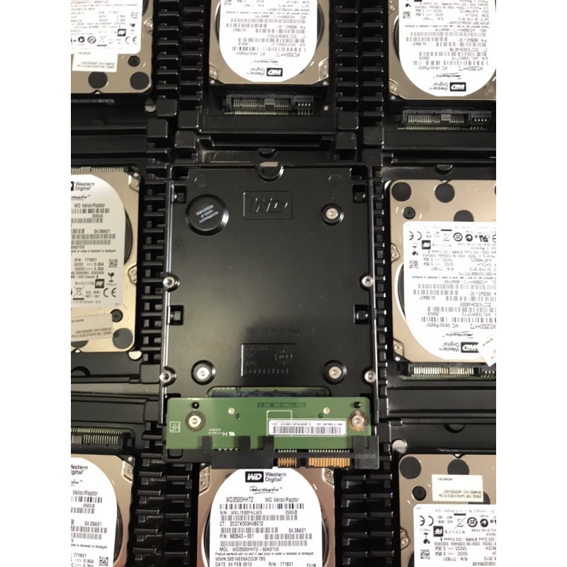 Ổ Cứng Hdd Wd Velociraptor 250gb Sata 10000rpm | BigBuy360 - bigbuy360.vn