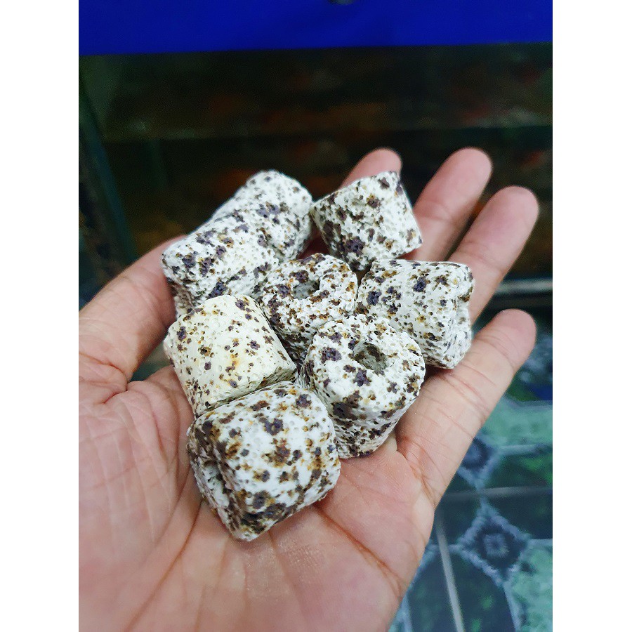 SỨ LỌC VIÊN TRỤ MÈ YEBEN ANEROBIC VẬT LIỆU LỌC HỒ CÁ