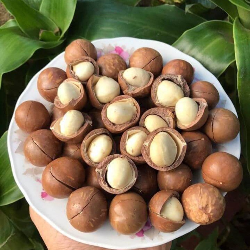 Các Loại Hạt Dinh Dưỡng, Hạt Macca, Hạt Dưa, Hạt Hướng Dương, Hạt Hạnh Nhân, Hạt Dẻ Cười, Hạt Điều, Hạt Bí Rang