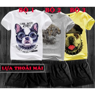 Quần áo cho trẻ Chó đeo kính, Hổ thư pháp, Chó đội nón