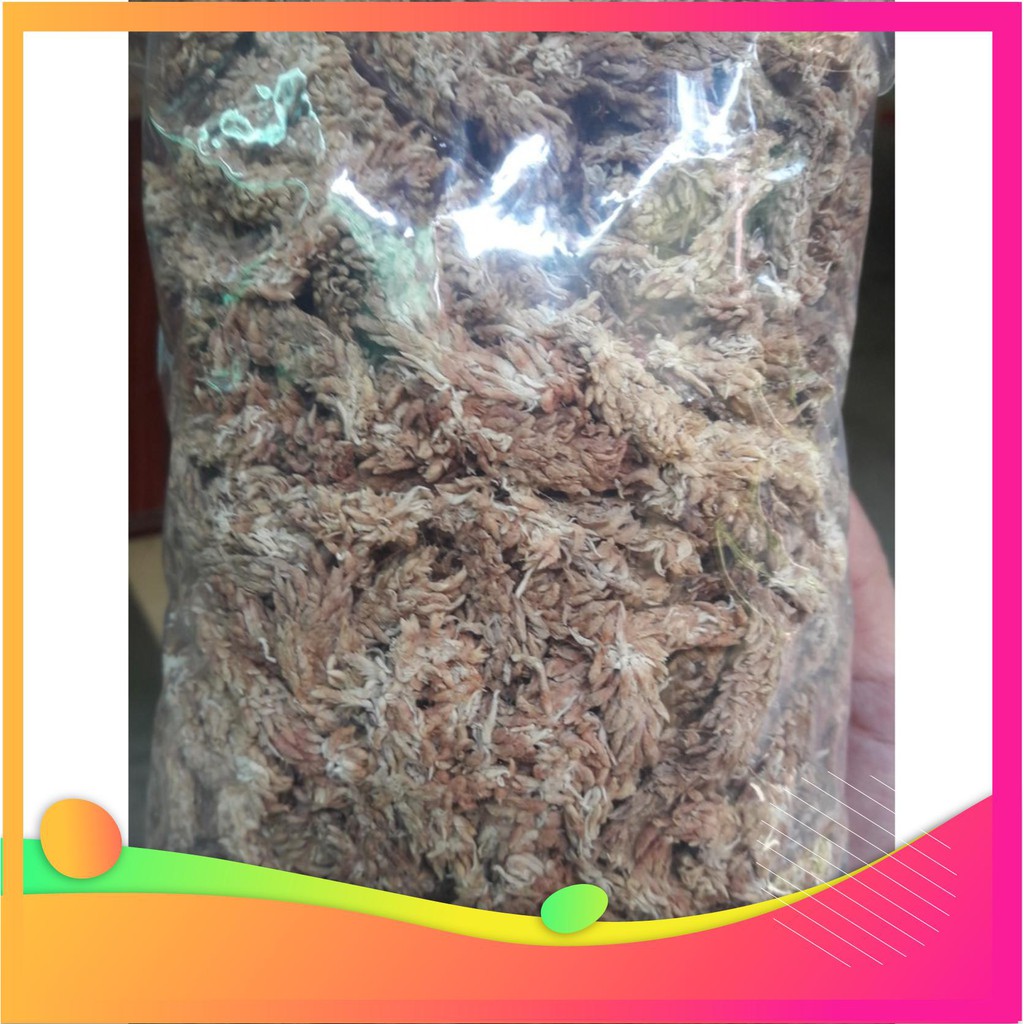 [Hàng chuẩn zin]Rêu sâu ChiLe (giữ ẩm tuyệt vời cho phong lan) gói 100g