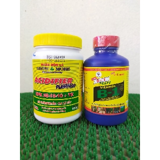 Combo B1 Thái kích rễ +phân bón NPK 30-10-10