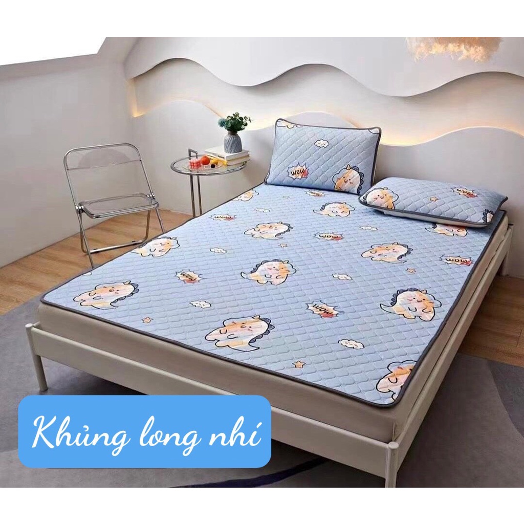 Chiếu điều hòa cao su non ,tặng kèm 2 vỏ gối cùng loại, kích thước 1m6/1m8/2m2