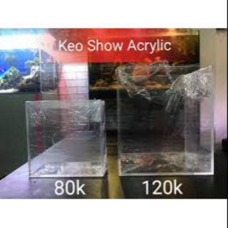 Hồ show cá acrylic