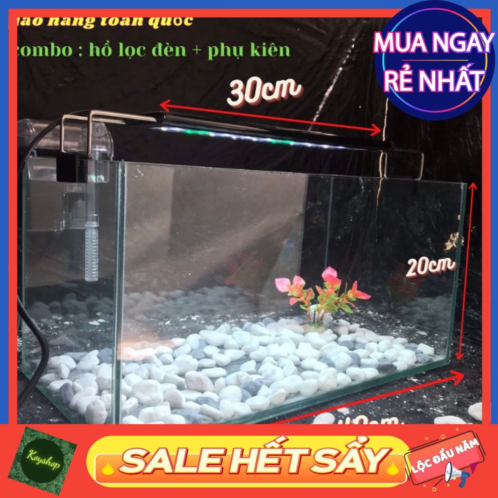 Bể cá mini 40cm COMBO đầy đủ có đèn led siêu dễ thương 3 chế độ sáng - Sẵn hàng, Giá Tốt.