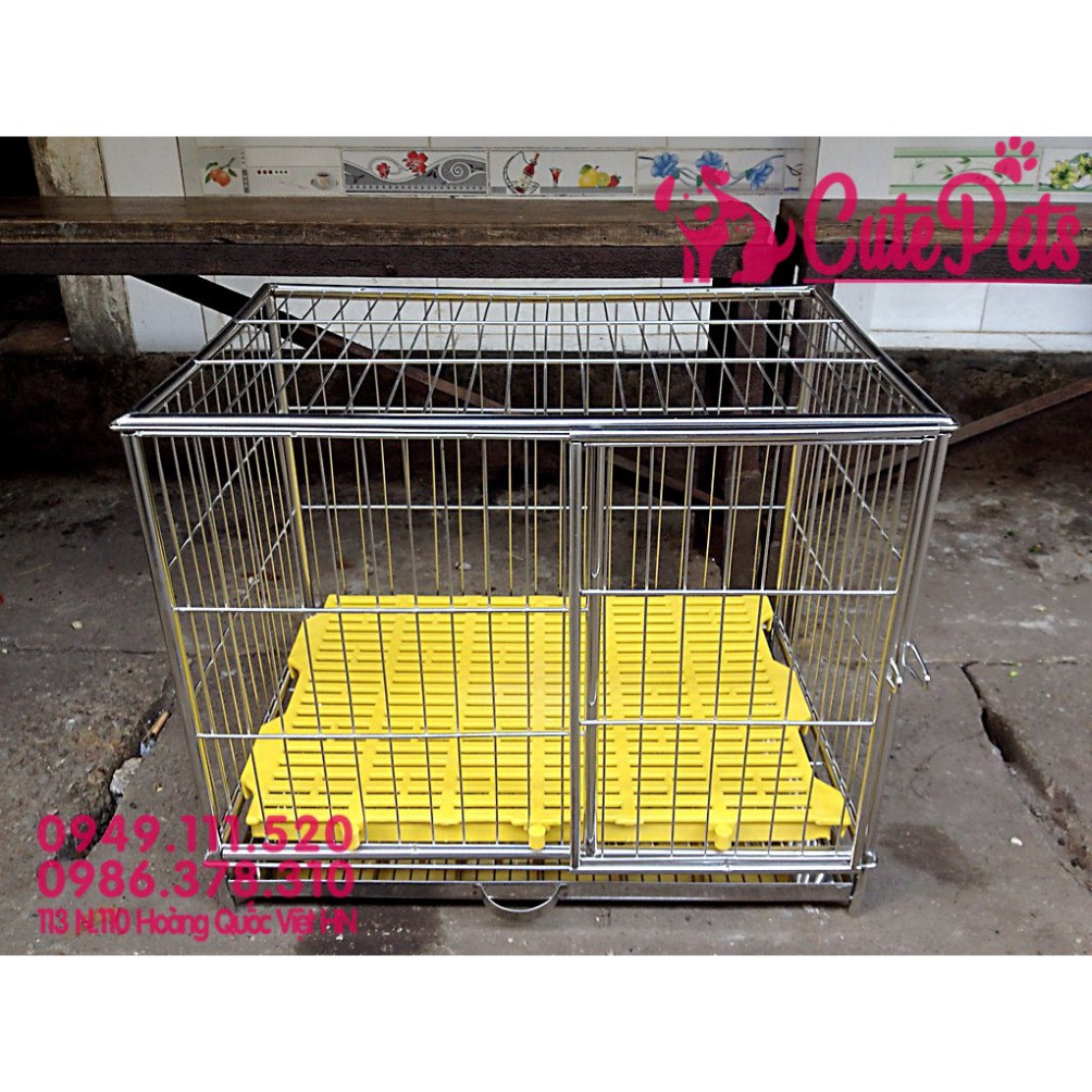 Sàn nhựa vàng 45x55cm lót chuồng chó lớn - CutePets phụ kiện chó mèo pet shop Hà Nội. Hàng chính hãng