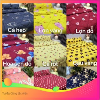 Trọn bộ chăn hè 5 món ga gối Poly