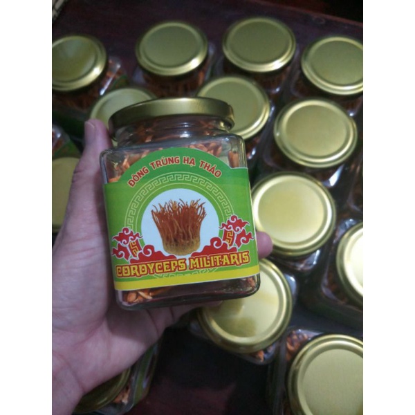 Đông Trùng Hạ Thảo Việt Nam Sấy thăng hoa loại 1 (10gr) | BigBuy360 - bigbuy360.vn