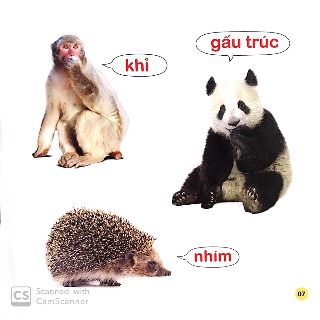 Sách - Combo 3 cuốn - 100 Từ Đầu Đời Của Bé - tùy chọn