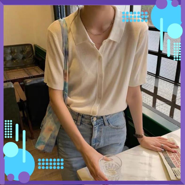 [CAO CẤP] Áo tay lỡ Polo KOREA | BigBuy360 - bigbuy360.vn