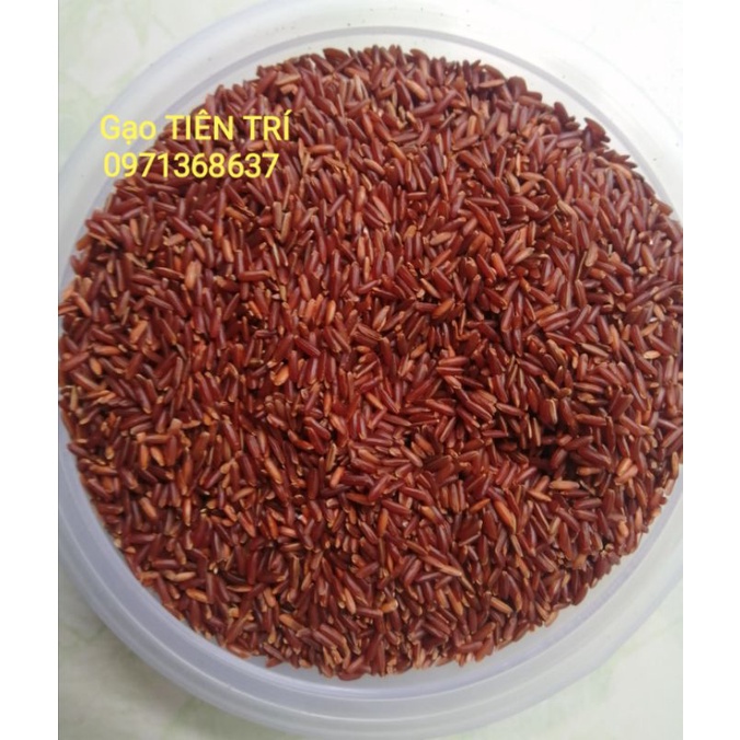 Gạo Lức Huyết Rồng  (Gạo lức đỏ Việt Nam)