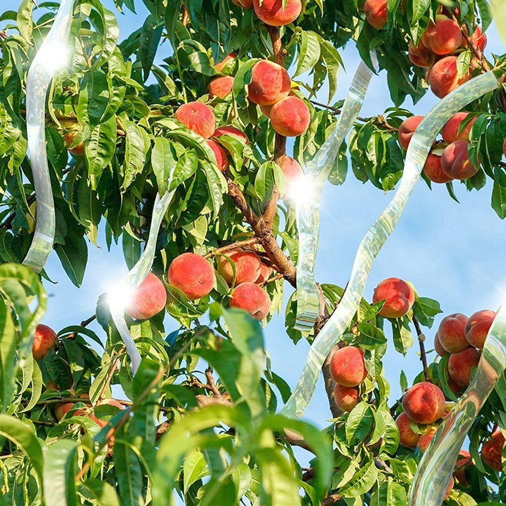 Băng Keo Phản Quang Hai Mặt Dùng Đuổi Chim Tiện Dụng