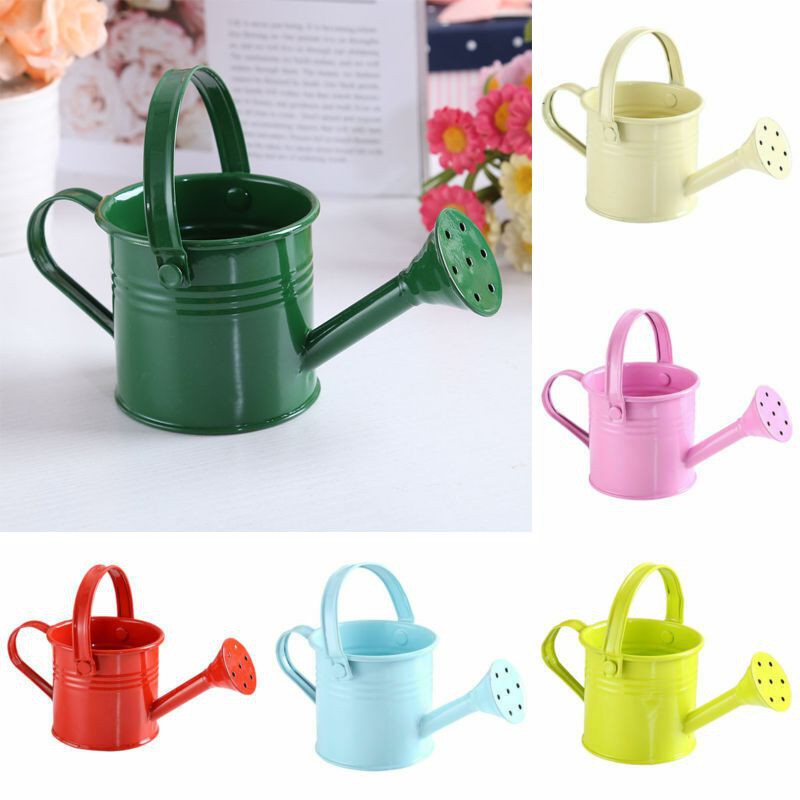 Bình Xịt Nước Tưới Cây Mini Bằng Kim Loại