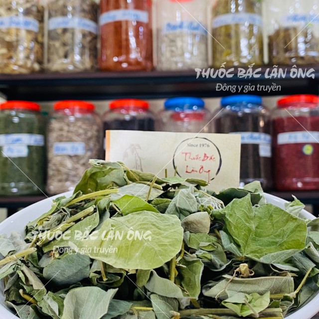 Kim Tiền Thảo 100g