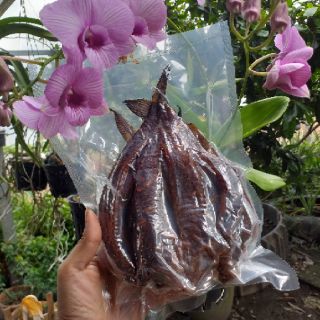 1kg khô cá lóc nhà làm